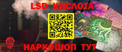 крисы Гагарин