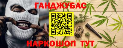крисы Гагарин