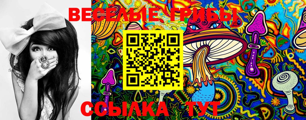 Малгобек  Псилоцибиновые грибы MAGIC MUSHROOMS  Вход с VPN 