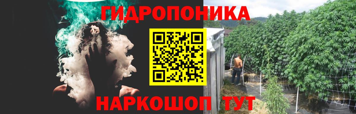 Шишки марихуана планчик Малгобек